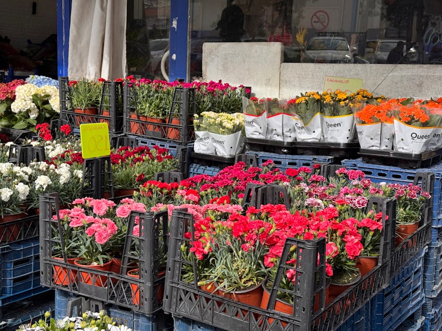 A display of vibrant flowering plants arranged in black plastic crates outside a flower shop. The collection includes pink, red, white, and orange blooms, some wrapped in white paper with branding. Th